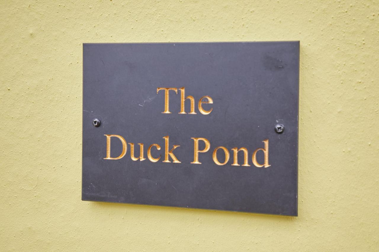 Host & Stay - The Duck Pond Durham Zewnętrze zdjęcie